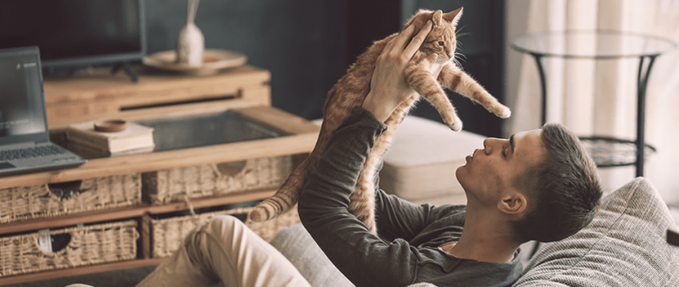 comportement chat